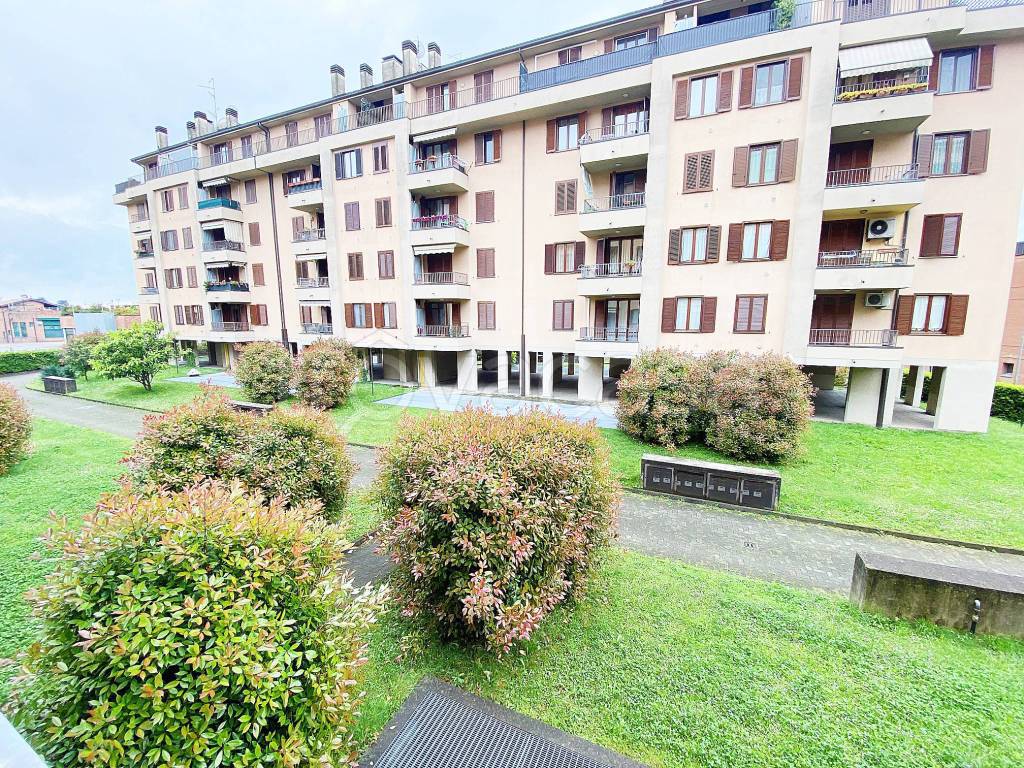 immagine annuncio 12 di 15