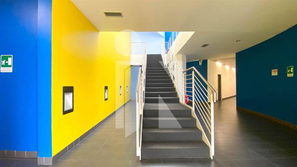 immagine annuncio 9 di 11