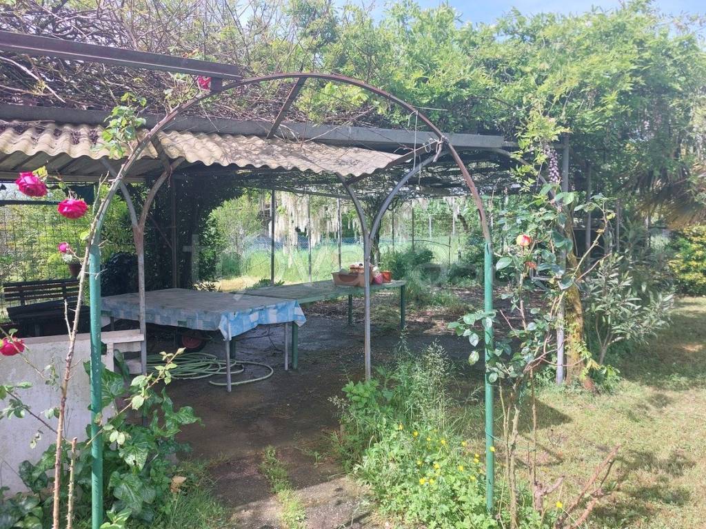 immagine annuncio 2 di 14