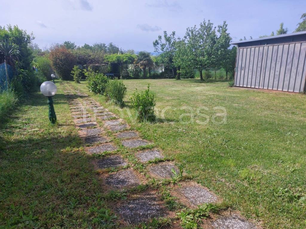 immagine annuncio 3 di 14