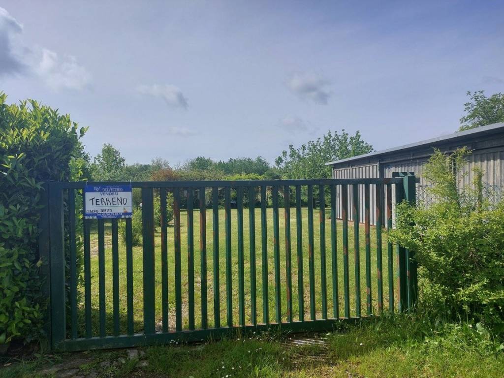 immagine annuncio 5 di 14