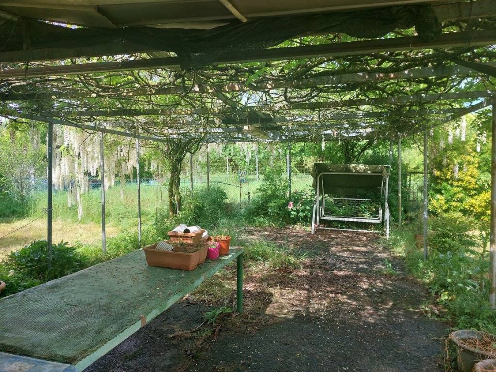 immagine annuncio 6 di 14