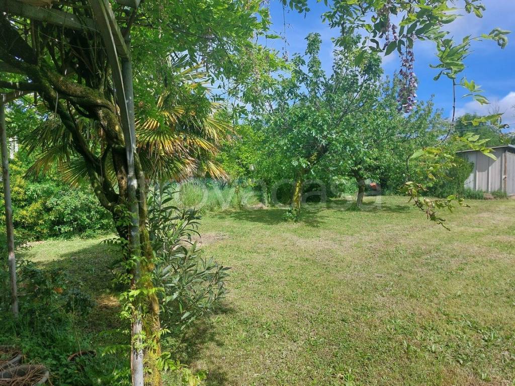 immagine annuncio 7 di 14