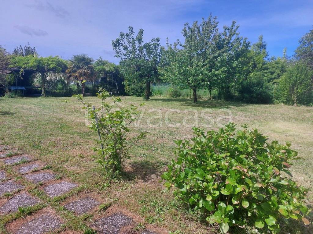 immagine annuncio 8 di 14