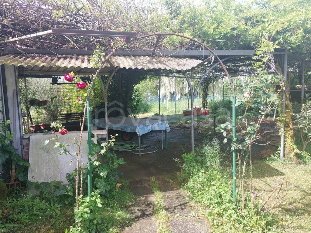 immagine annuncio 10 di 14