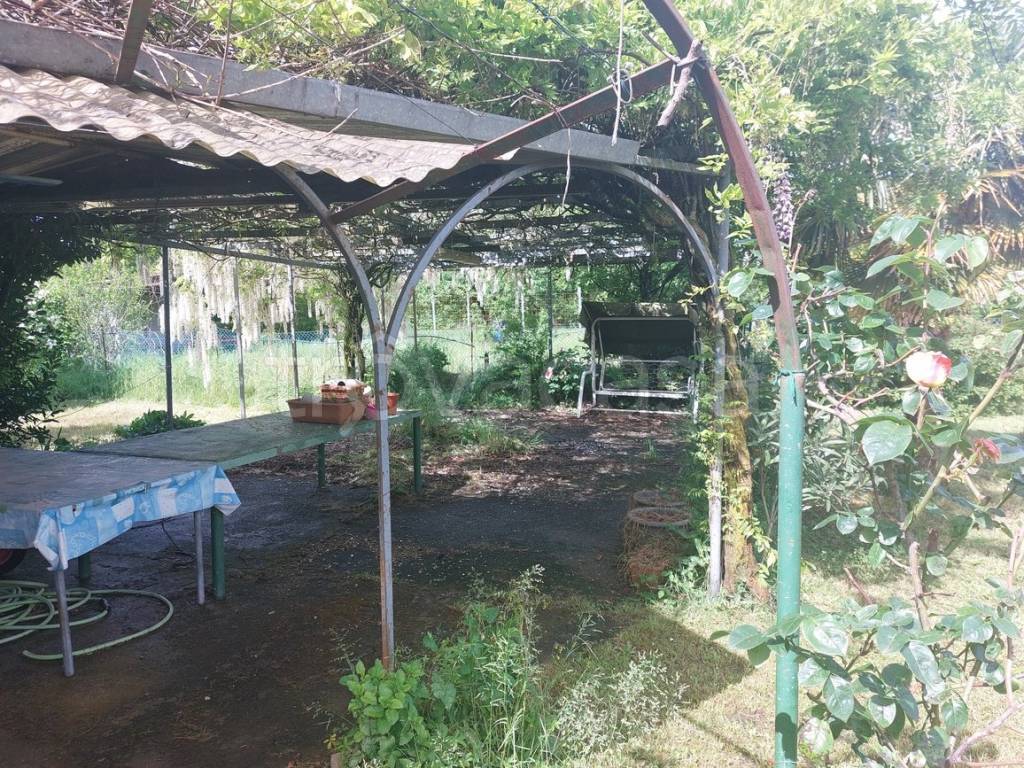 immagine annuncio 11 di 14