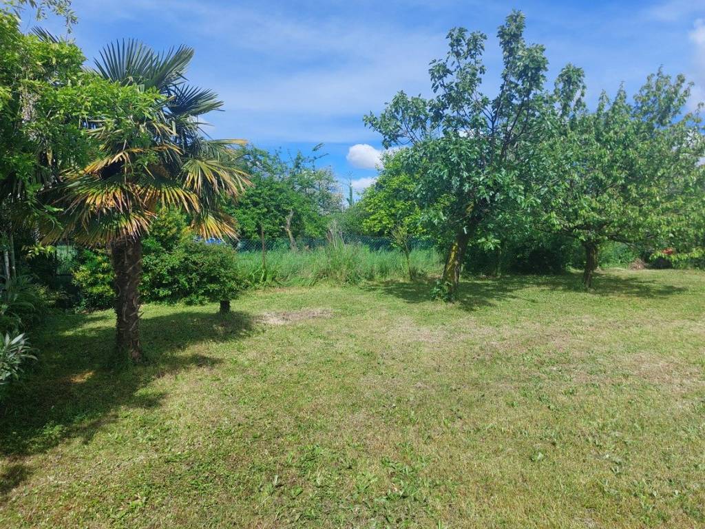 immagine annuncio 12 di 14