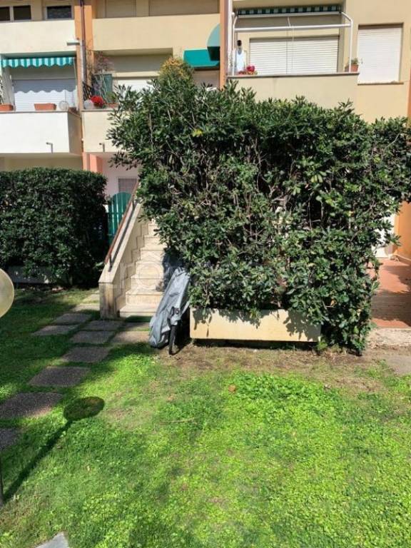 immagine annuncio 4 di 8