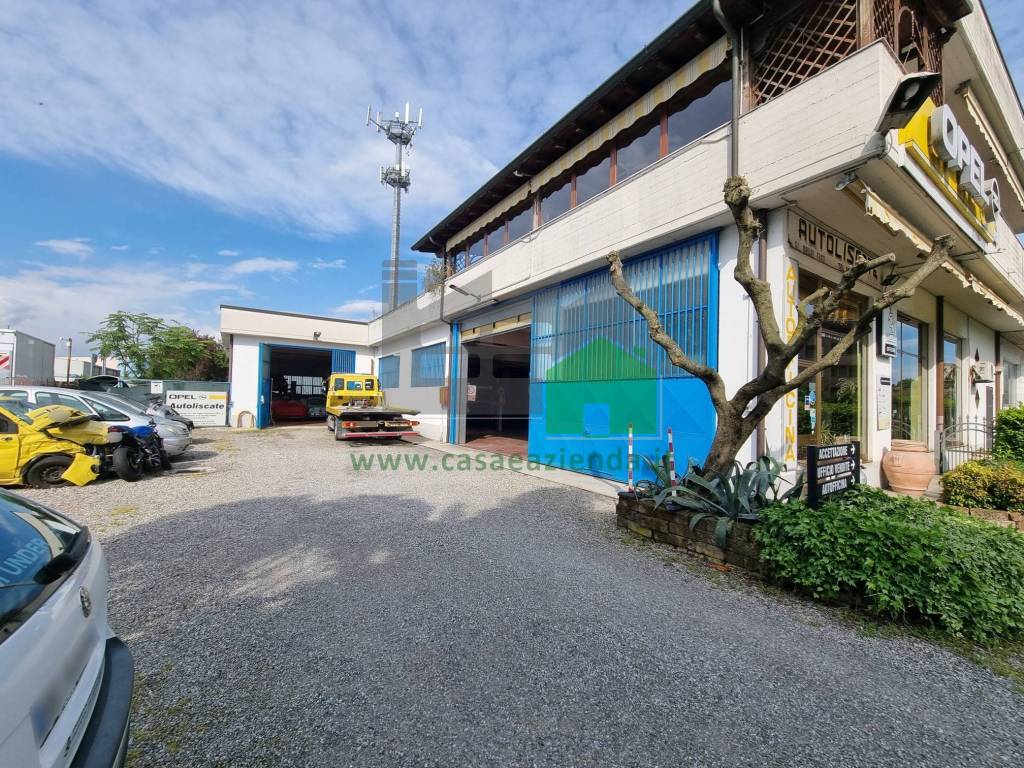 immagine annuncio 2 di 15