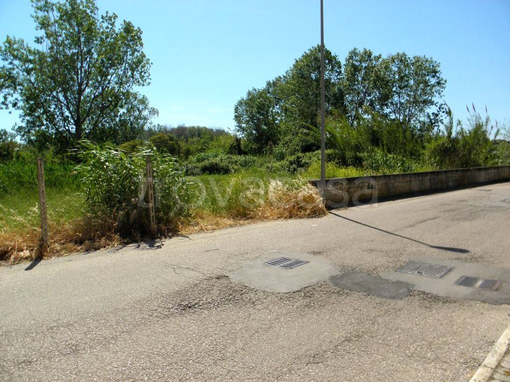 immagine annuncio 9 di 14