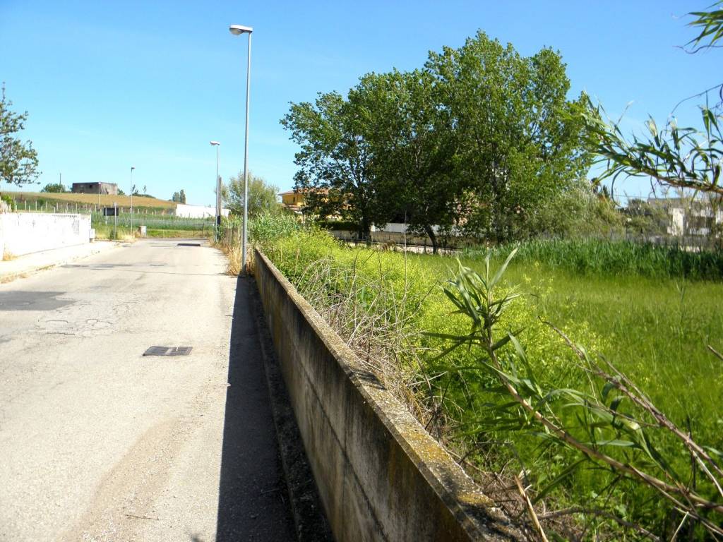 immagine annuncio 11 di 14
