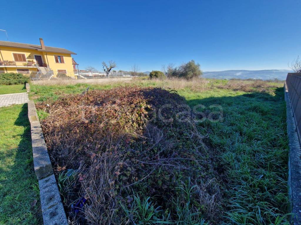immagine annuncio 2 di 7
