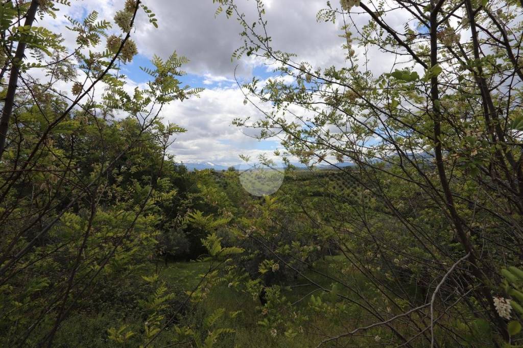 immagine annuncio 6 di 9