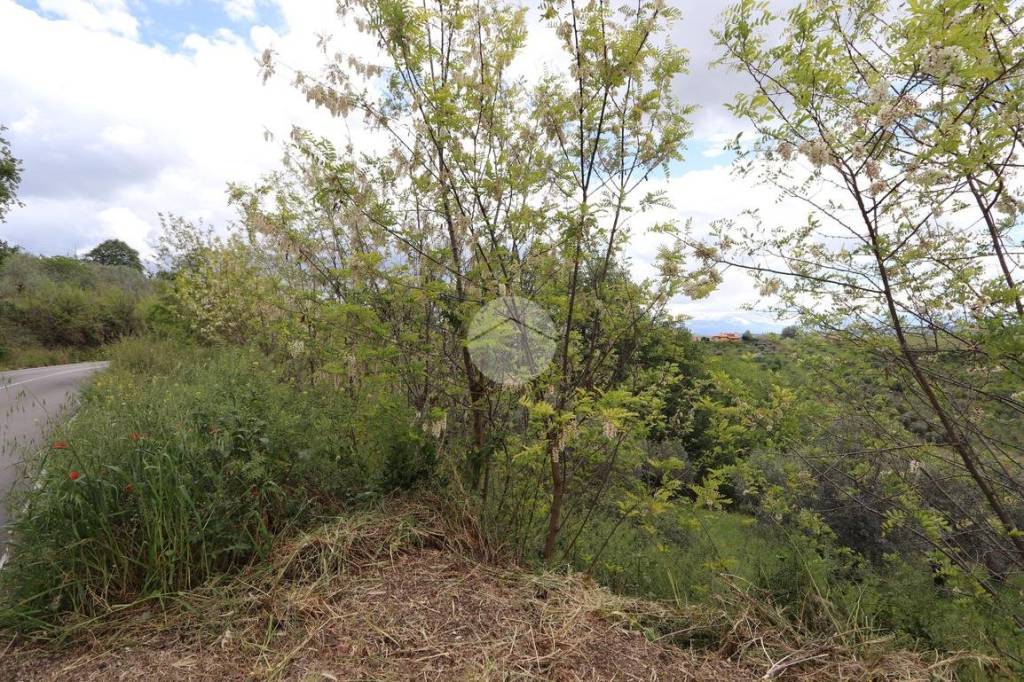 immagine annuncio 7 di 9