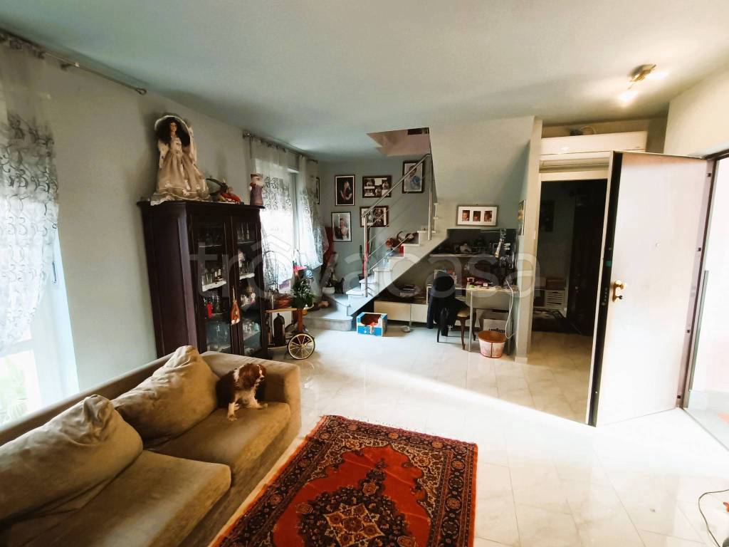 immagine annuncio 3 di 14