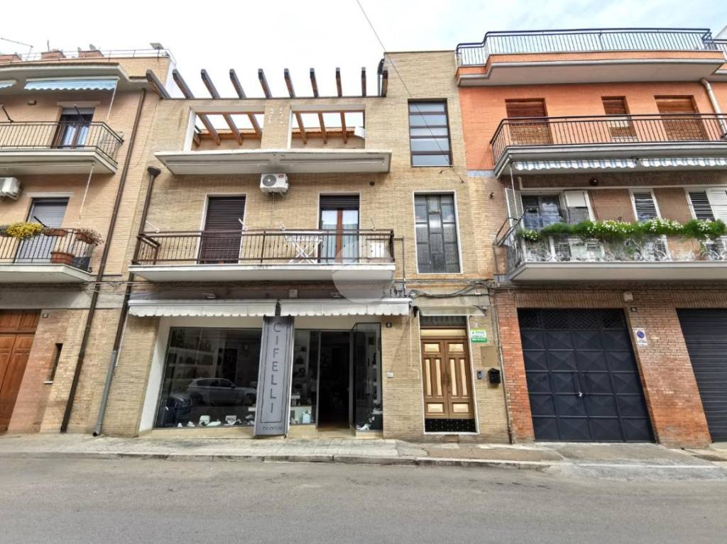 immagine annuncio 12 di 14