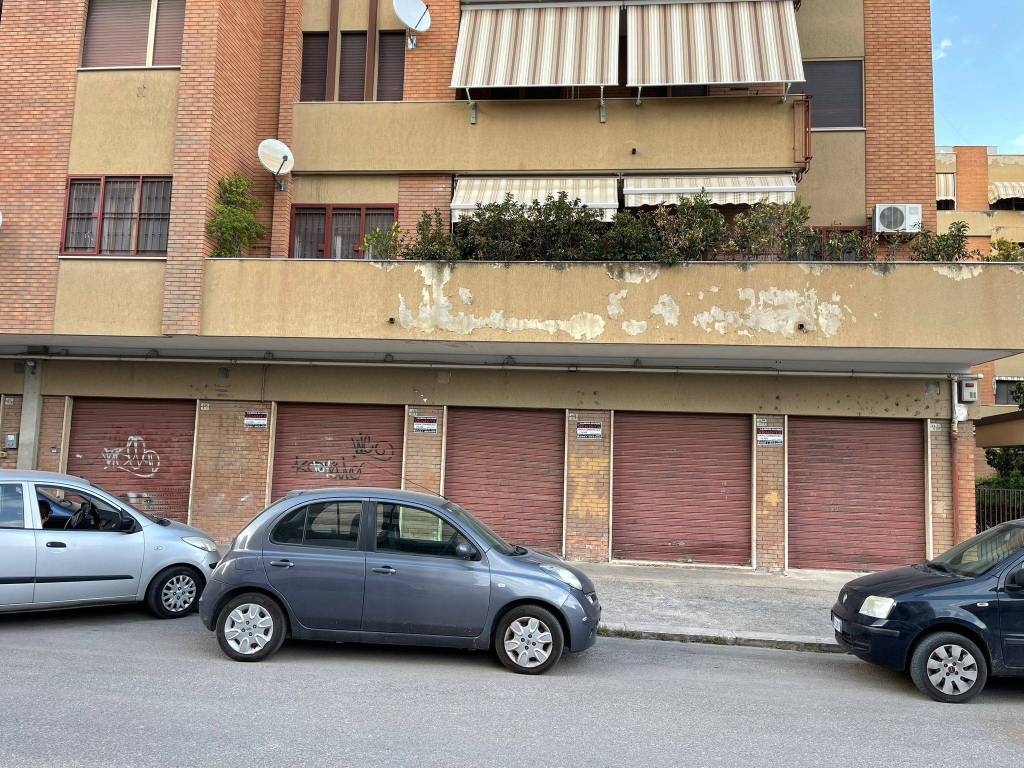 immagine annuncio 1 di 7