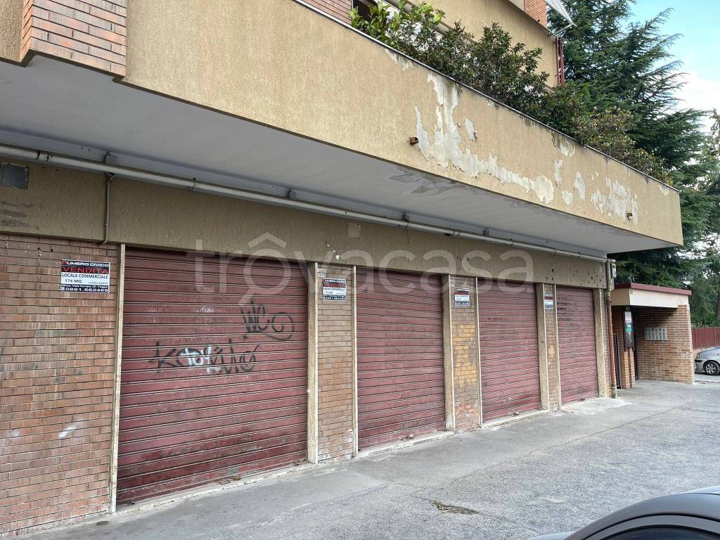 immagine annuncio 2 di 7