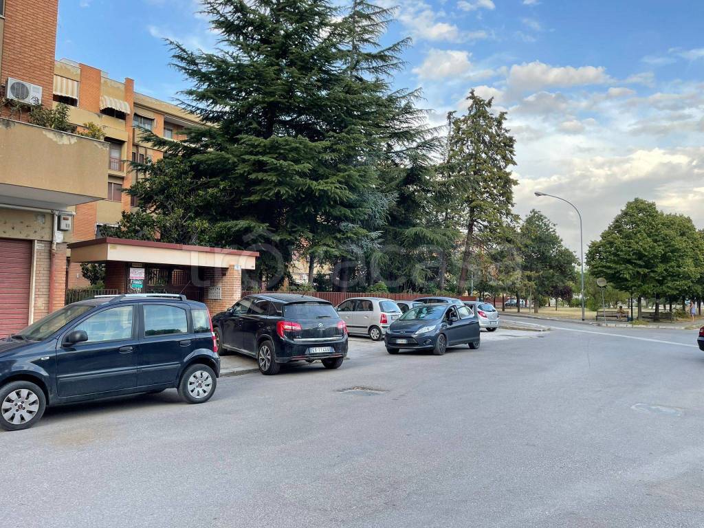 immagine annuncio 3 di 7