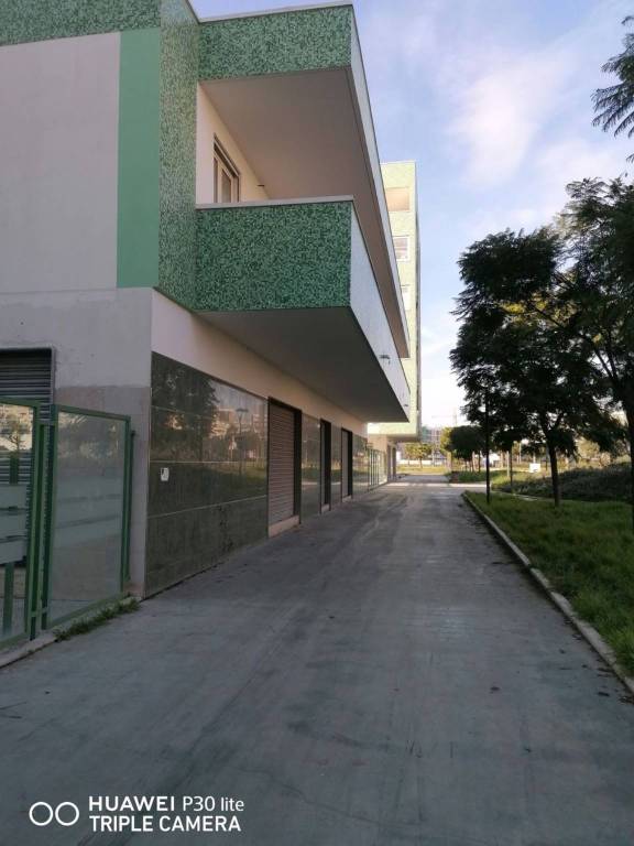 immagine annuncio 1 di 2