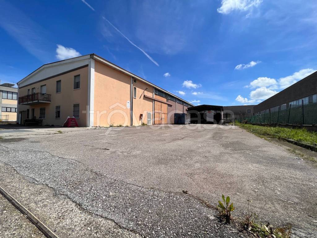 immagine annuncio 8 di 15