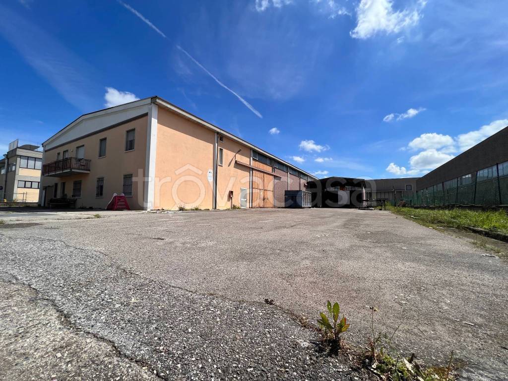 immagine annuncio 9 di 15