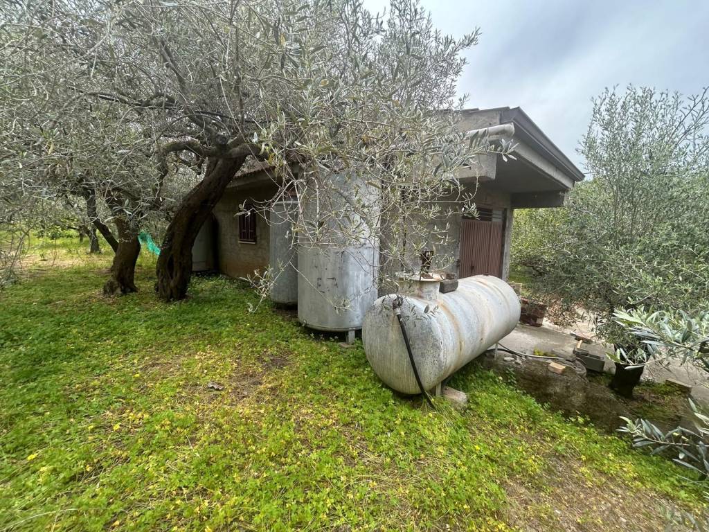immagine annuncio 9 di 15