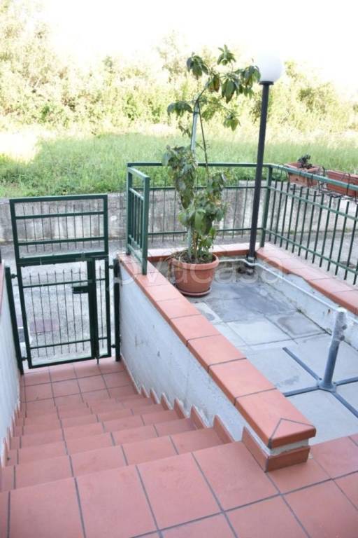 immagine annuncio 12 di 14