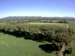 Terreno residenziale in vendita a bibbona via vicinale dei poggiali