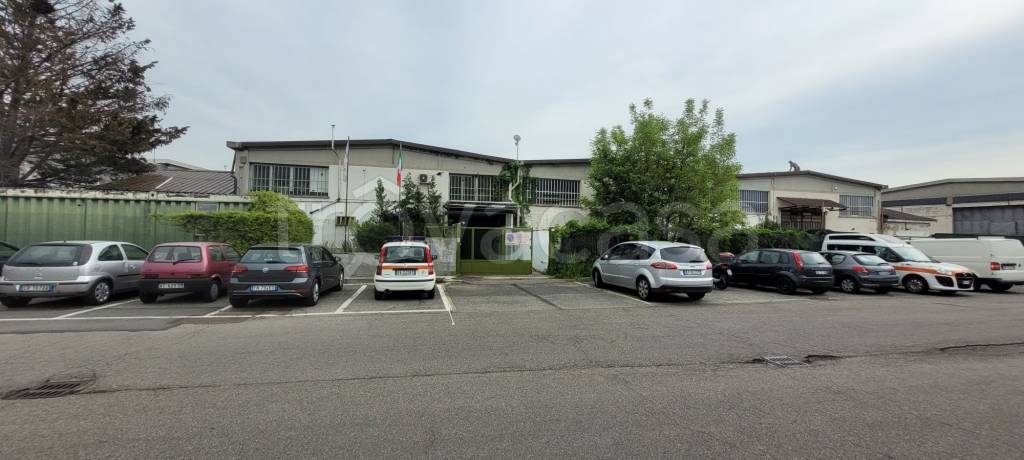 immagine annuncio 9 di 14