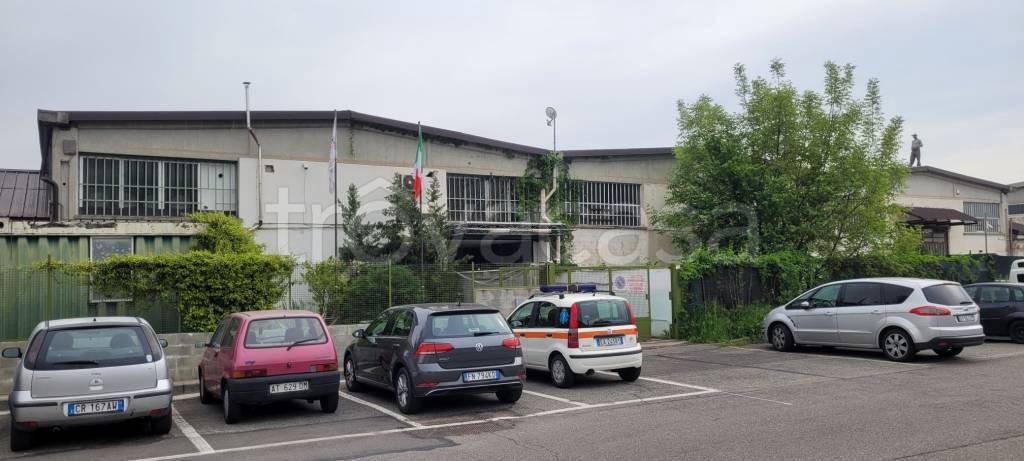 immagine annuncio 12 di 14