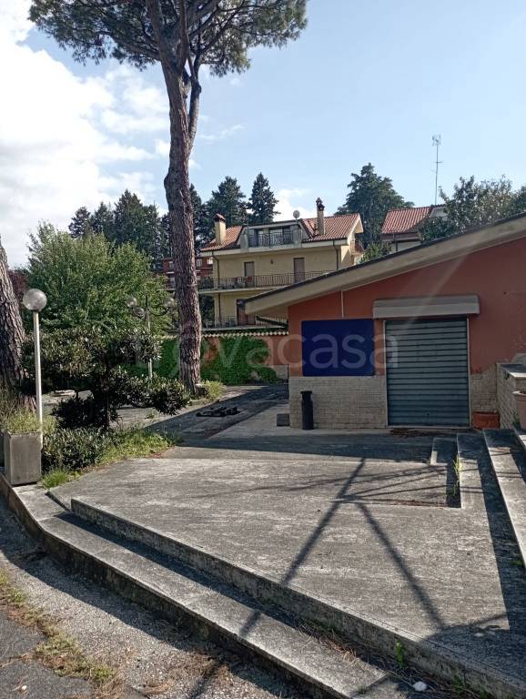 immagine annuncio 1 di 14
