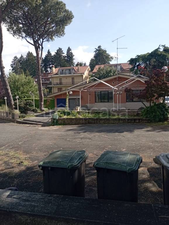 immagine annuncio 4 di 14