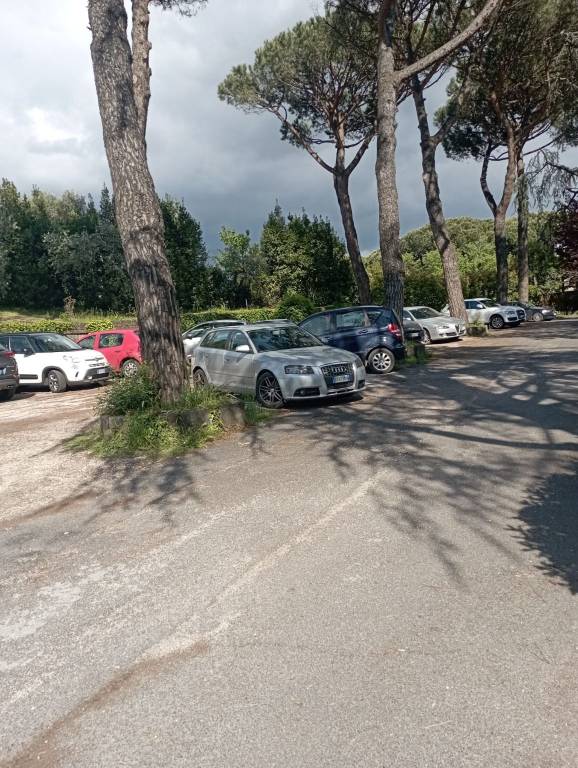 immagine annuncio 10 di 14