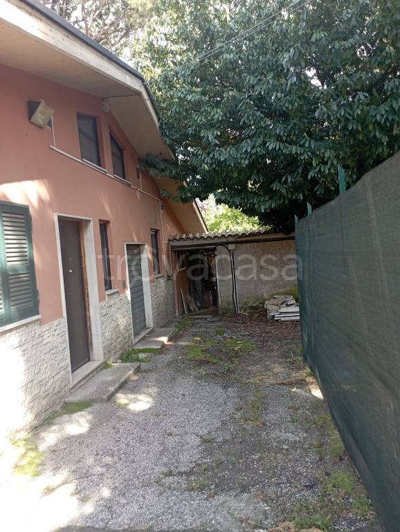 immagine annuncio 12 di 14