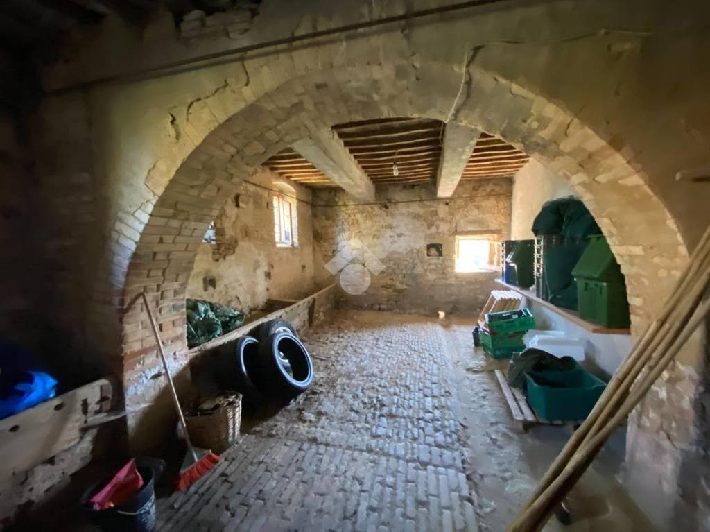immagine annuncio 11 di 14