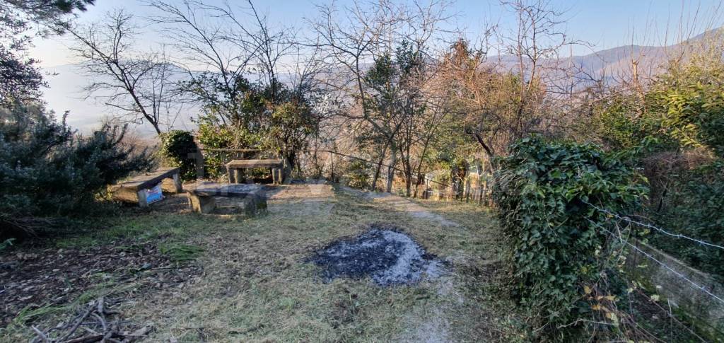 immagine annuncio 3 di 12