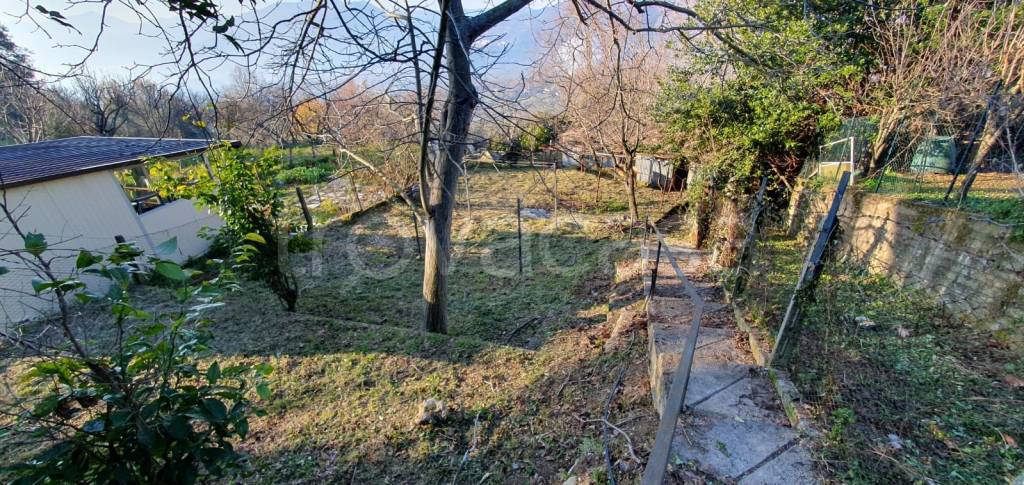 immagine annuncio 9 di 12