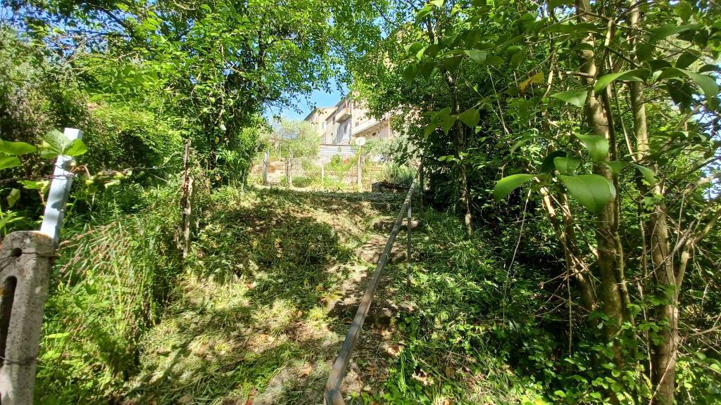 immagine annuncio 8 di 12