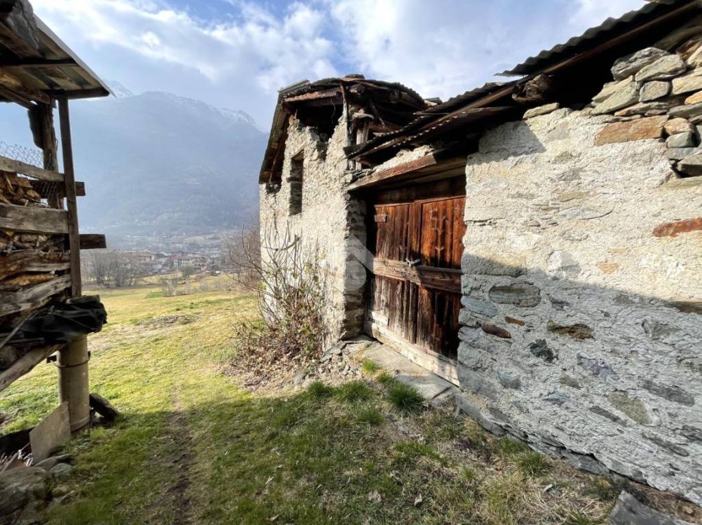 immagine annuncio 6 di 15