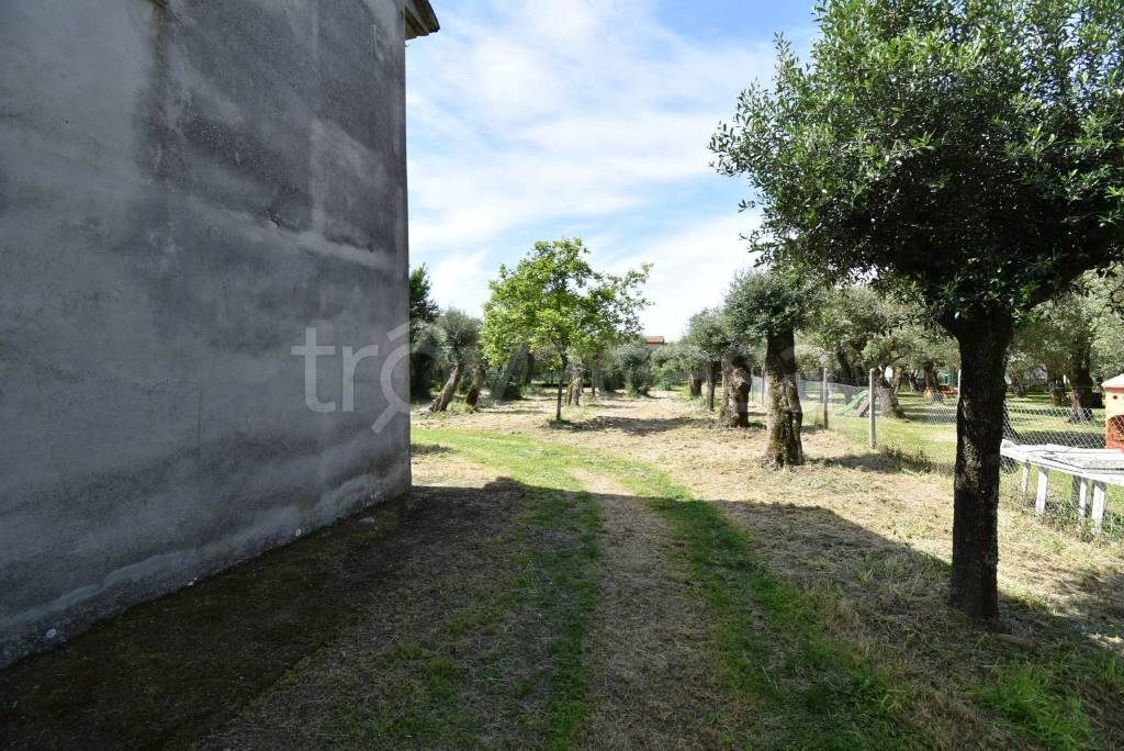 immagine annuncio 8 di 13