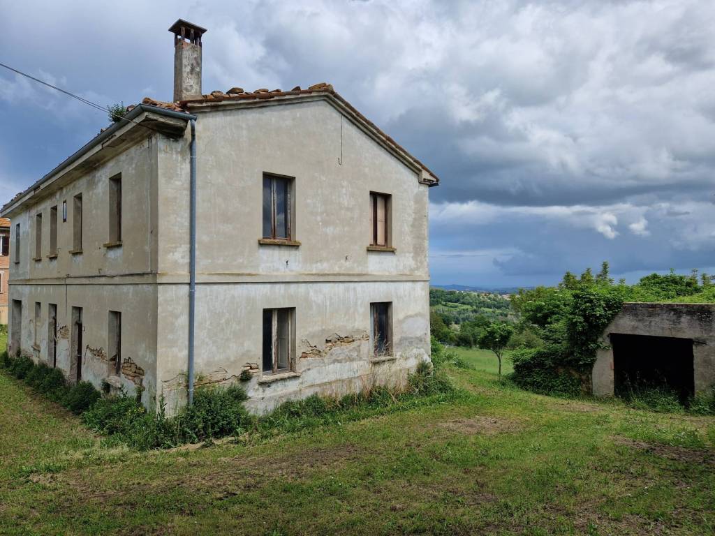 immagine annuncio 3 di 8
