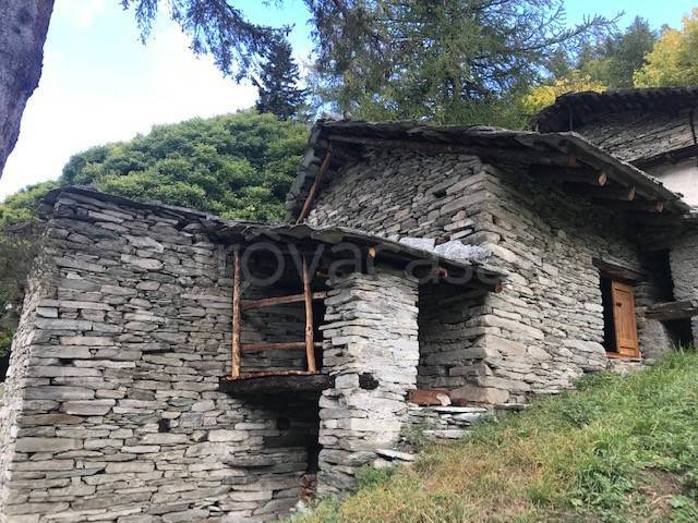 immagine annuncio 7 di 13