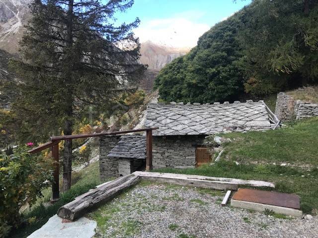 immagine annuncio 11 di 13
