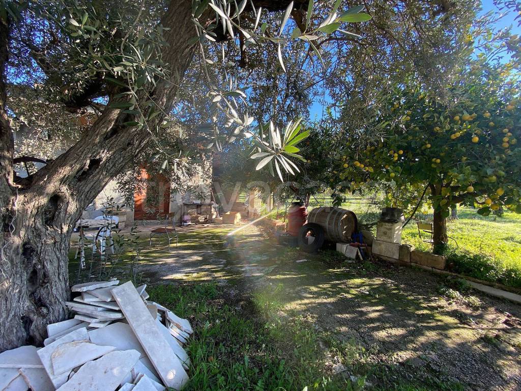 immagine annuncio 6 di 11