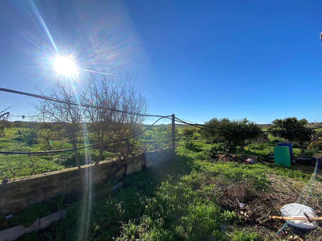 immagine annuncio 7 di 11