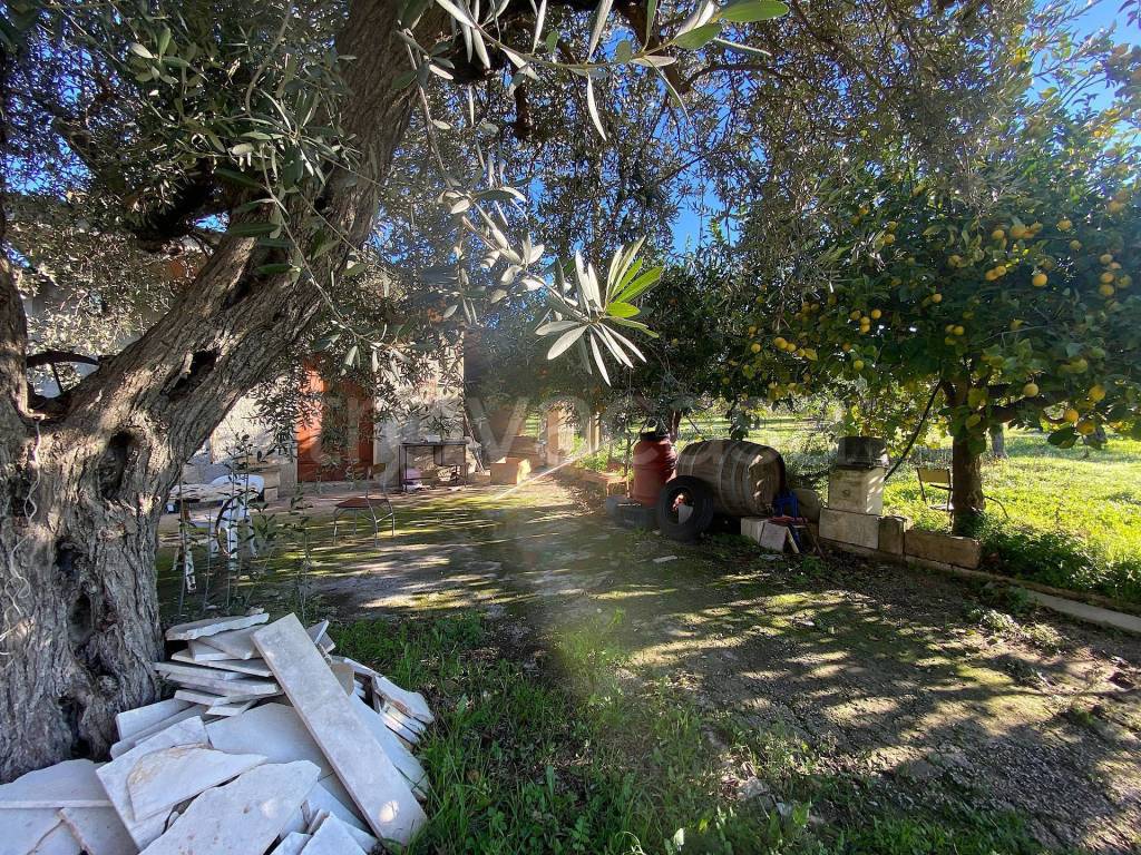 immagine annuncio 10 di 11