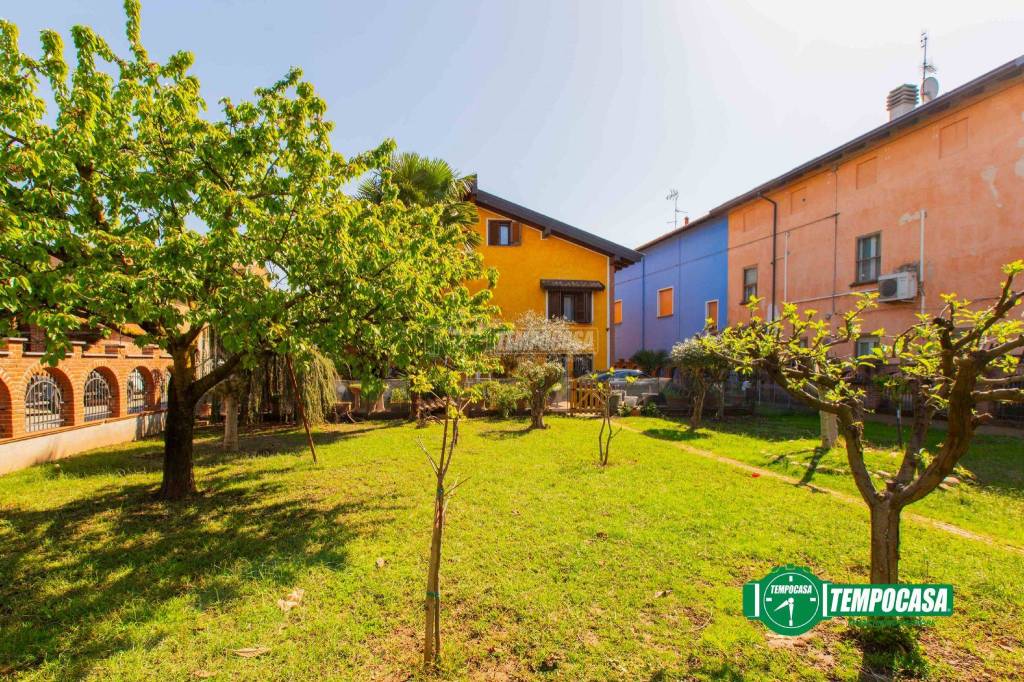 immagine annuncio 7 di 15