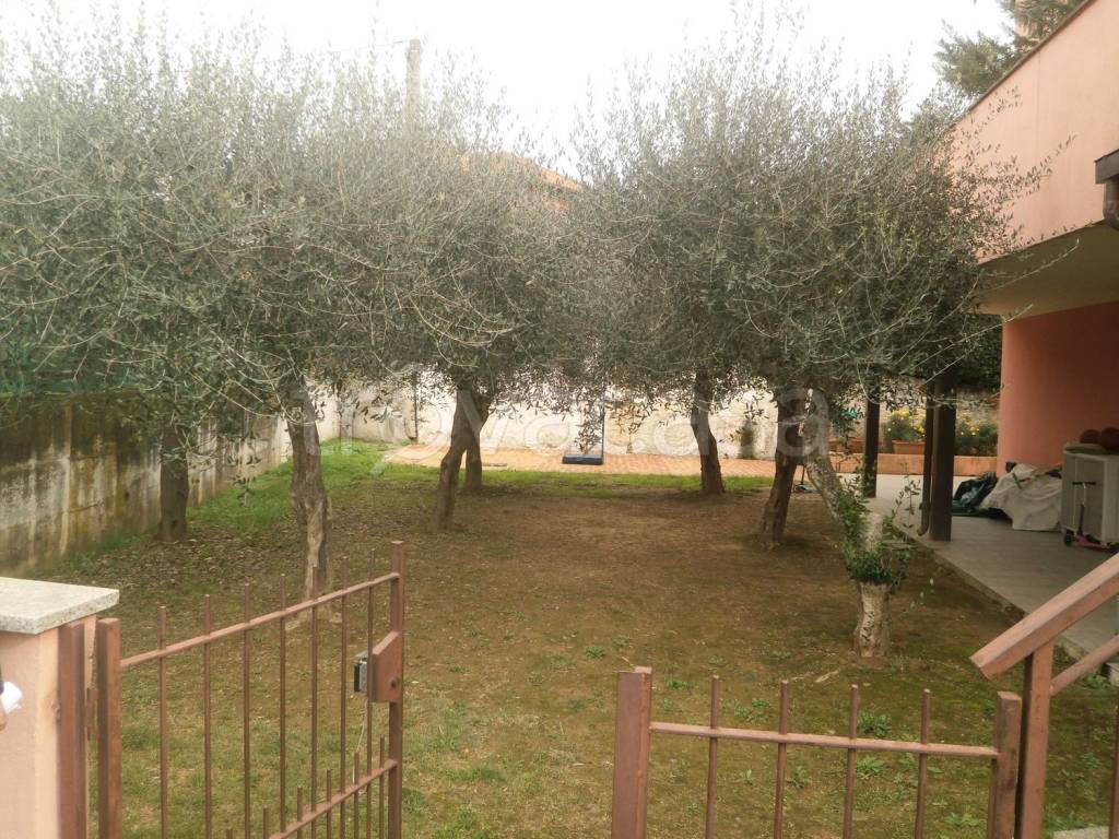 immagine annuncio 1 di 4