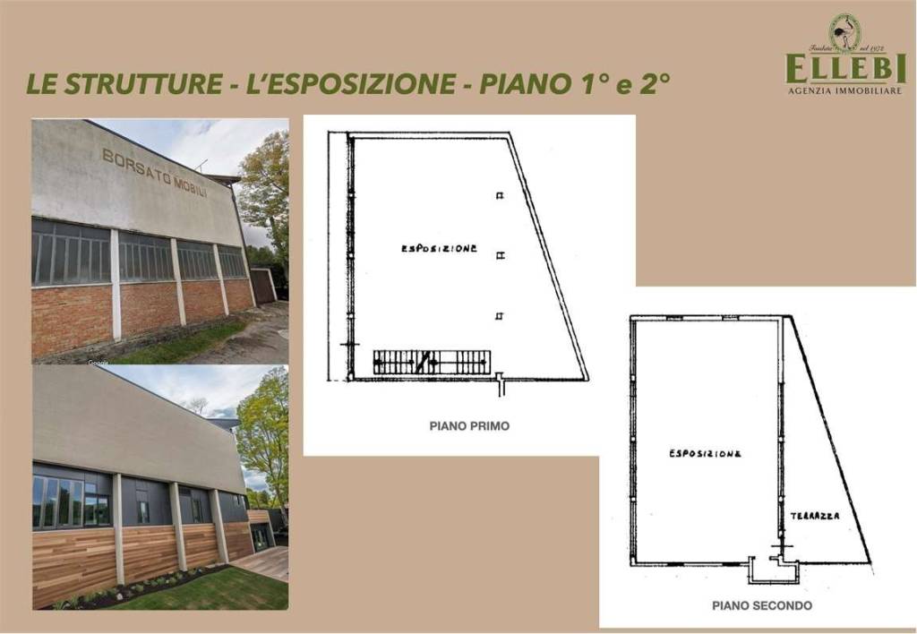 immagine annuncio 6 di 8